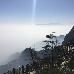 ❌ⅩX❌fcesg老熟妇
