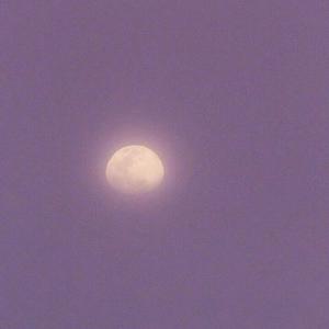 ❌ⅩX❌fcesg老熟妇
