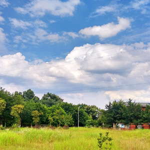 ❌ⅩX❌fcesg老熟妇
